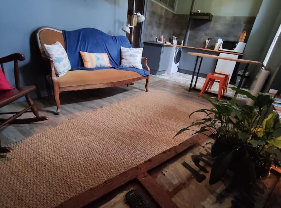 Studio 1 Chambre Ideal Salaries Nomades Montauban Zewnętrze zdjęcie